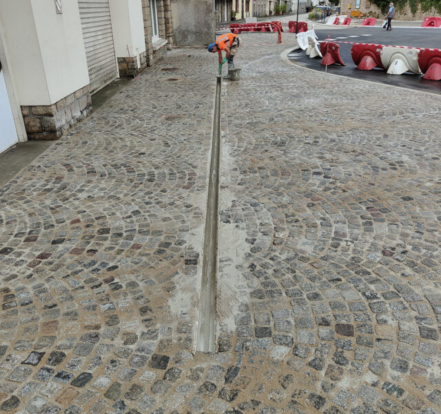 pavdal-11